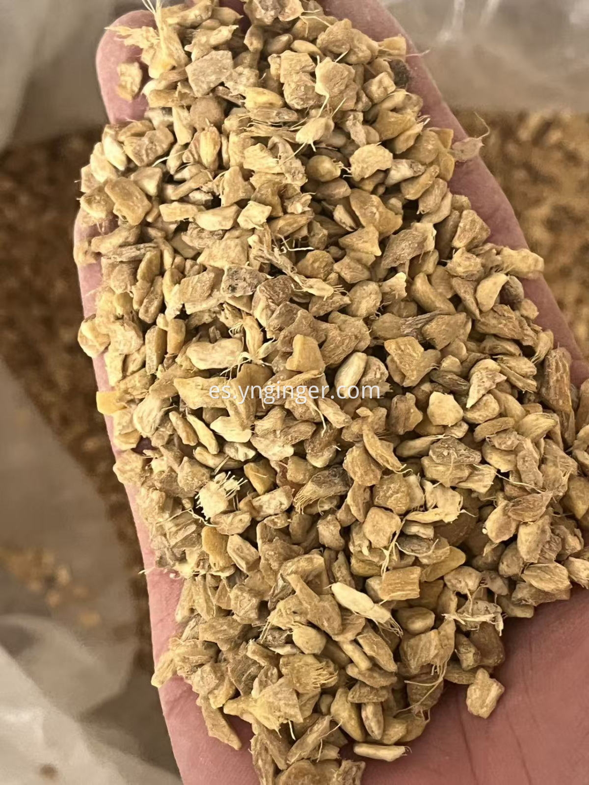 Ginger Granules